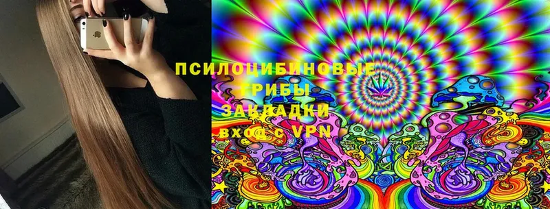 Галлюциногенные грибы Cubensis  купить наркоту  Донской 